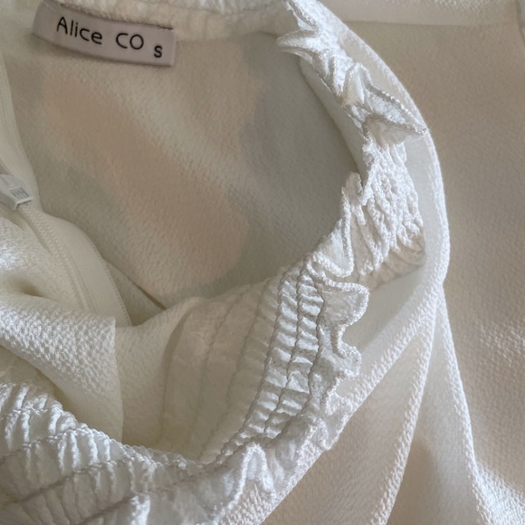 NWOT Alice Co Women’s Puff Sleeve Chiffon Blouse Size S - Picture 7 of 8